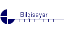 Bilgisayar